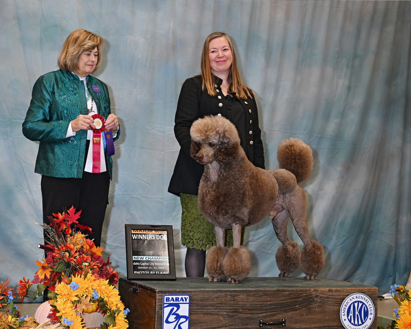 AKC Champion