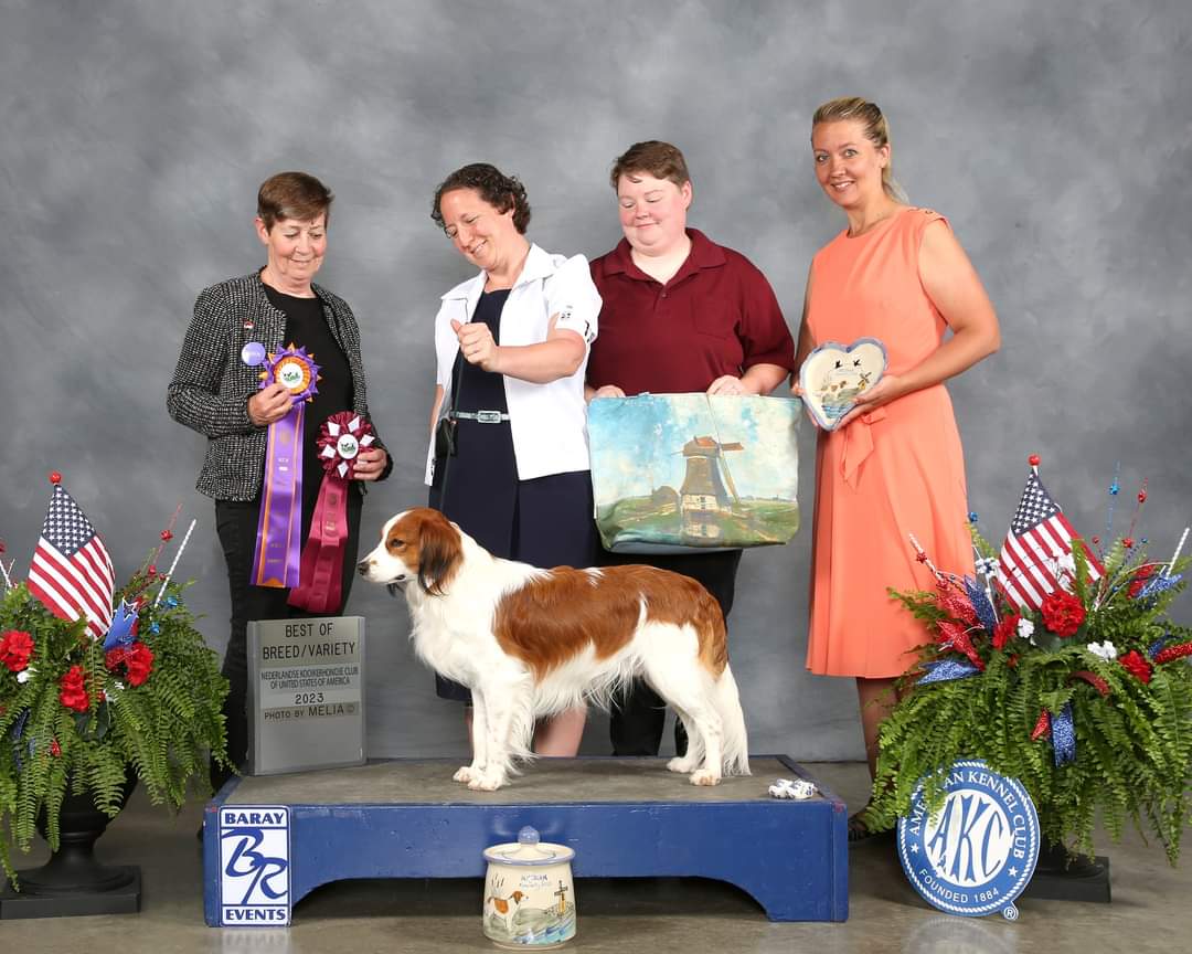 2023 Nederlandse Kooikerhondje National Specialty Best of Breed