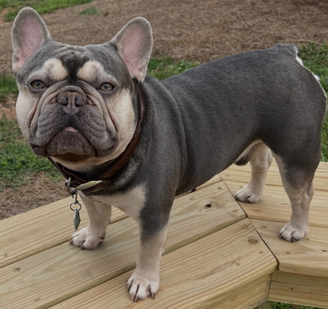 Max