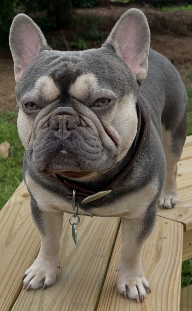 Max