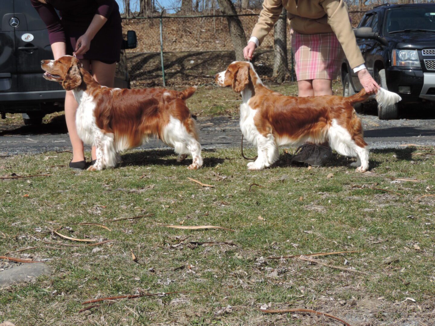 GCH Xanadu’s Man In The Moon JH